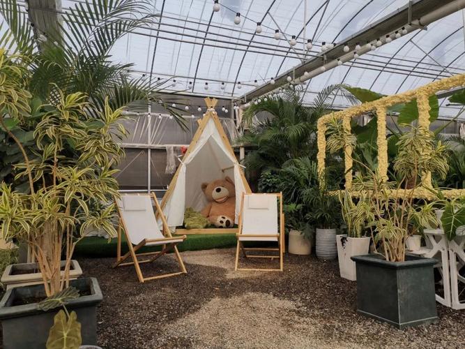 山东桓台苗木花卉种植走上致富路  第1张