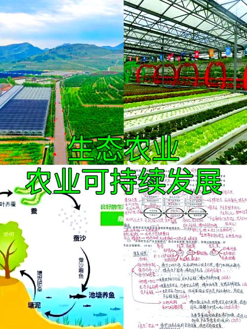 广东连州创新土地流转模式 推进农业规模经营  第1张