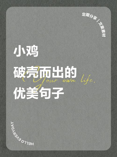 各种鸡你太美短句（赞美鸡的句子或段落）  第1张