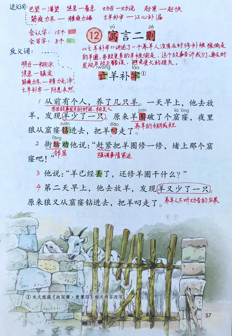 冉隆弟靠养羊脱贫，希望儿子也帮把手  第1张