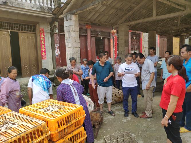 创新模式发展肉鸡养殖,帮扶建档立卡贫困村和贫困户 第1张 创新模式发展肉鸡养殖,帮扶建档立卡贫困村和贫困户 第1张