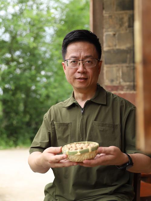 80后陈军返乡创业养珍珠鸡致富 第1张 80后陈军返乡创业养珍珠鸡致富 第1张