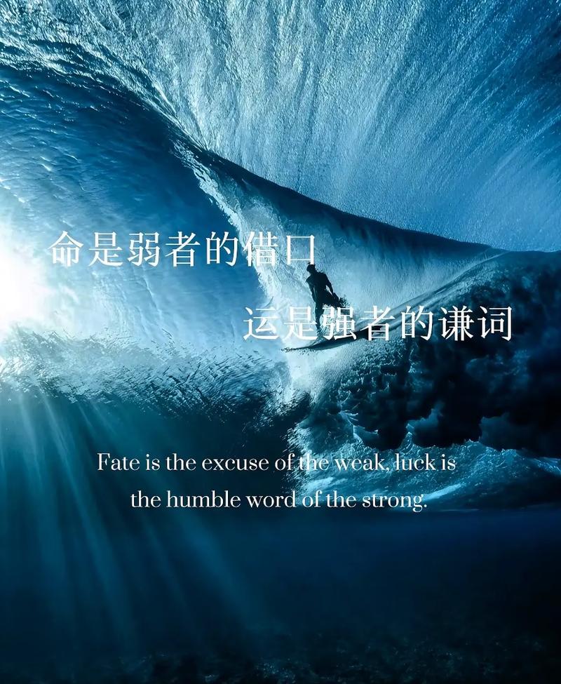 命是弱者的借口，运是强者的谦辞  第1张