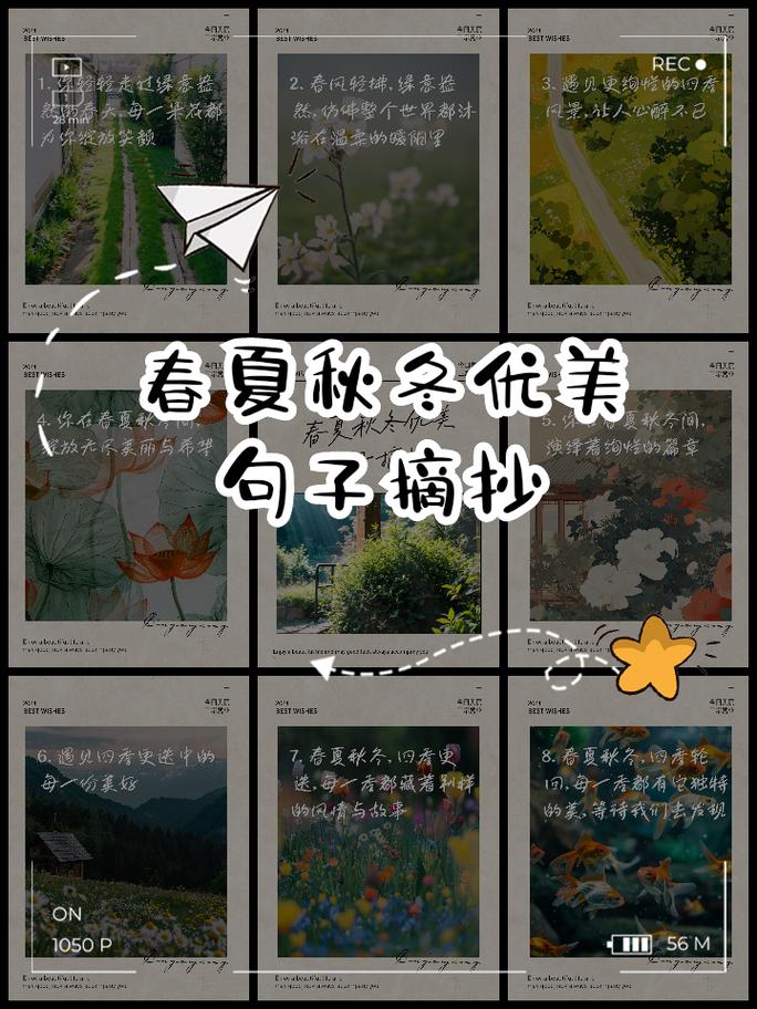 四季更替的优美句子（描写四季变化的好句）  第1张