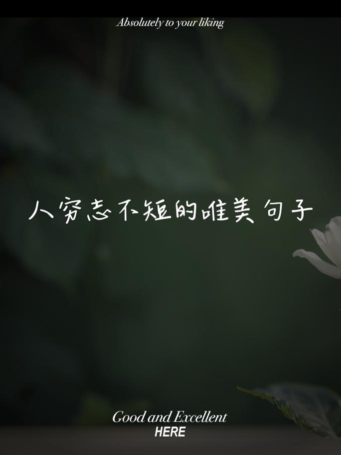 唯美短句子伤感意境（特别伤感唯美的短句图片）  第1张