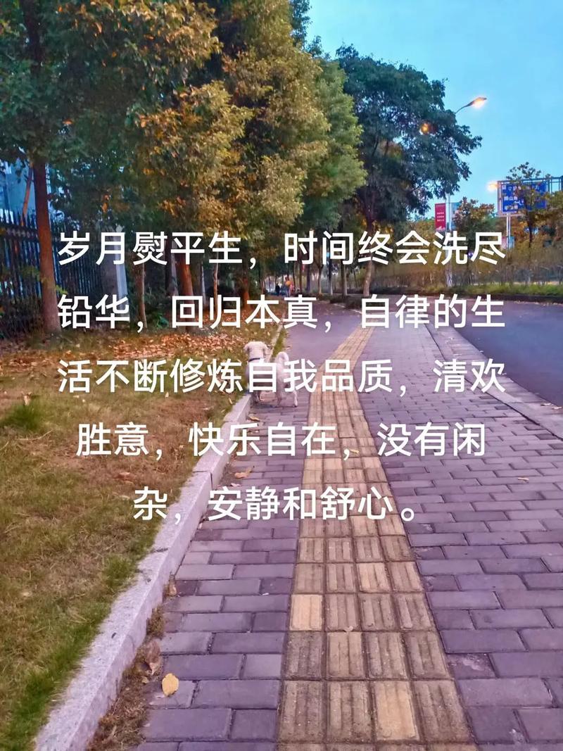 回归生活本真经典语录(形容回归生活本真的语句成语) 第1张 回归生活本真经典语录(形容回归生活本真的语句成语) 第1张