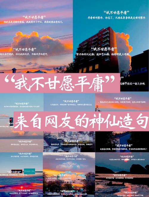 平庸的人之所以平庸  第1张