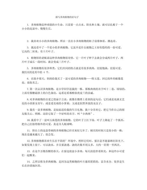 多肉的花语唯美句子（形容多肉花的唯美短句）  第1张