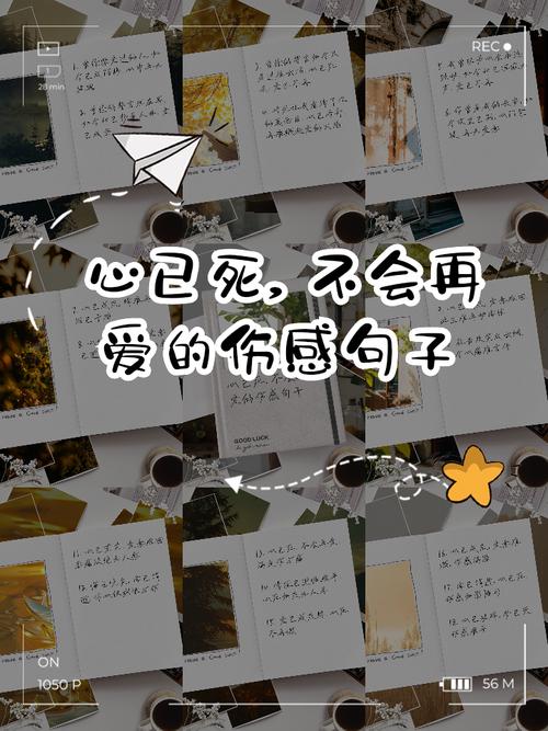 失去的爱情简短句子（失去的爱情句子）  第1张