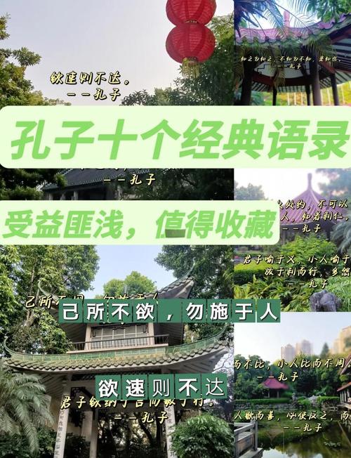 孔子教子格言大全（孔子教子格言大全集）  第1张