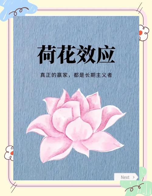 惊人的三大成功定律:荷花定律,竹子定律,金蝉定律 第1张 惊人的三大成功定律:荷花定律,竹子定律,金蝉定律 第1张