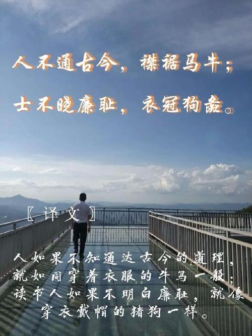 不敢问来人的名言(不敢问来人的上一句诗是什么) 第1张 不敢问来人的名言(不敢问来人的上一句诗是什么) 第1张