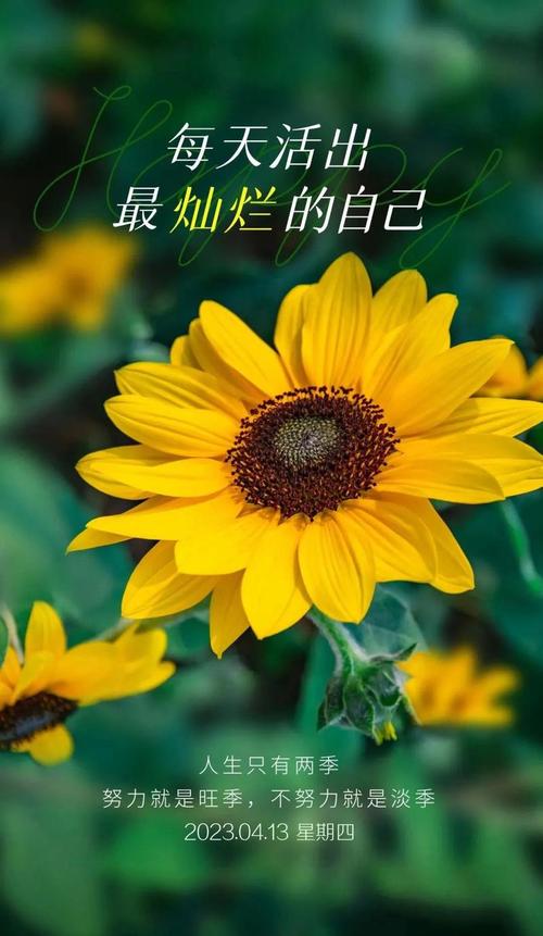 2019励志图片带字唯美  第1张