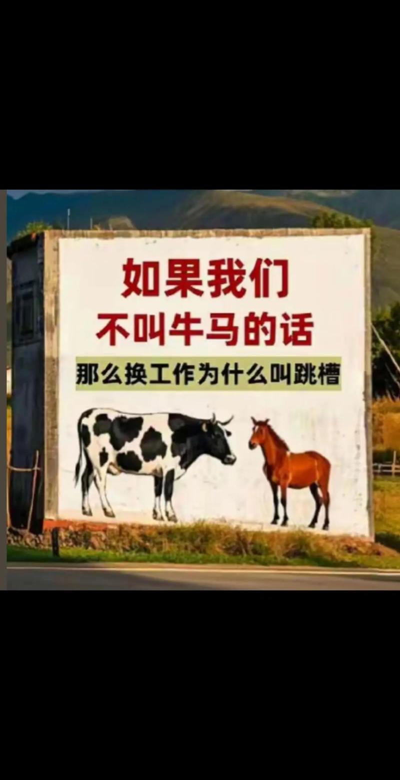 频繁跳槽的人是没有归属感的  第1张