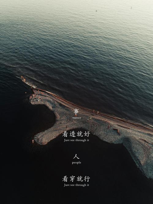 舒适圈，时间长了，就成了猪圈  第1张