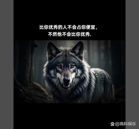 你不一定要八面玲珑,但你一定要独当一面 第1张 你不一定要八面玲珑,但你一定要独当一面 第1张