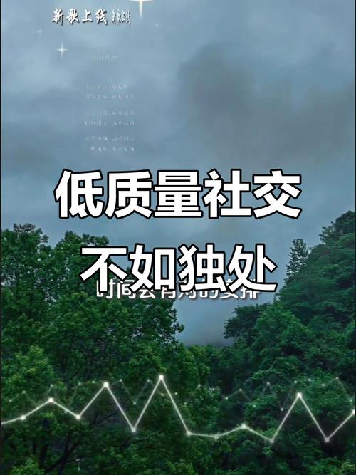 高质量的独处胜过低质量的社交 第1张 高质量的独处胜过低质量的社交 第1张
