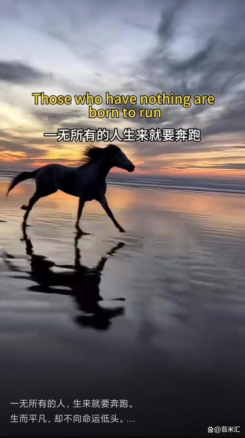 时刻奔跑在跑道上,也许才是最安全的选择 第1张 时刻奔跑在跑道上,也许才是最安全的选择 第1张