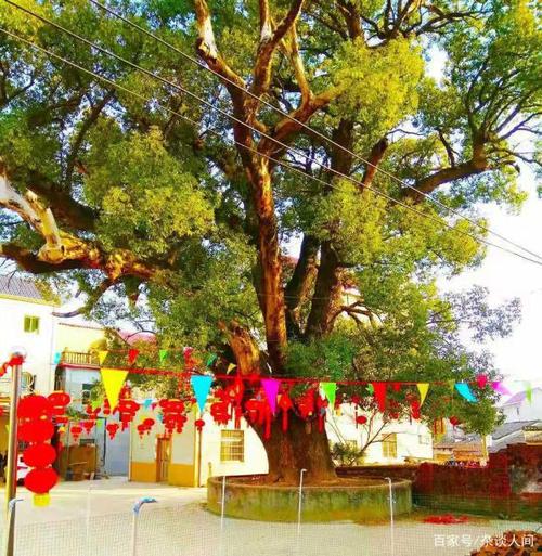 重庆蔡家泽30元起家到投资2亿带动家乡励志故事 第1张 重庆蔡家泽30元起家到投资2亿带动家乡励志故事 第1张