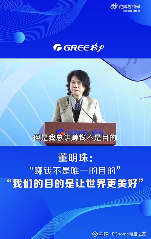 励志人物董明珠：至目前没出现失误  第1张