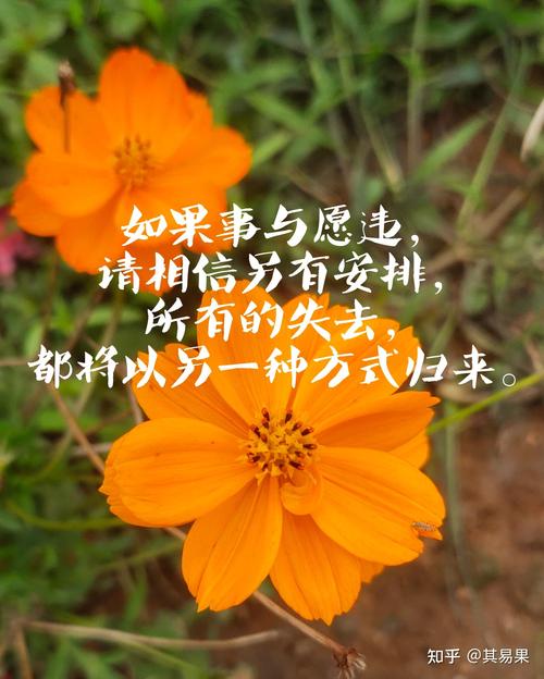 干净文案治愈短句（干净治愈文案短句）  第1张