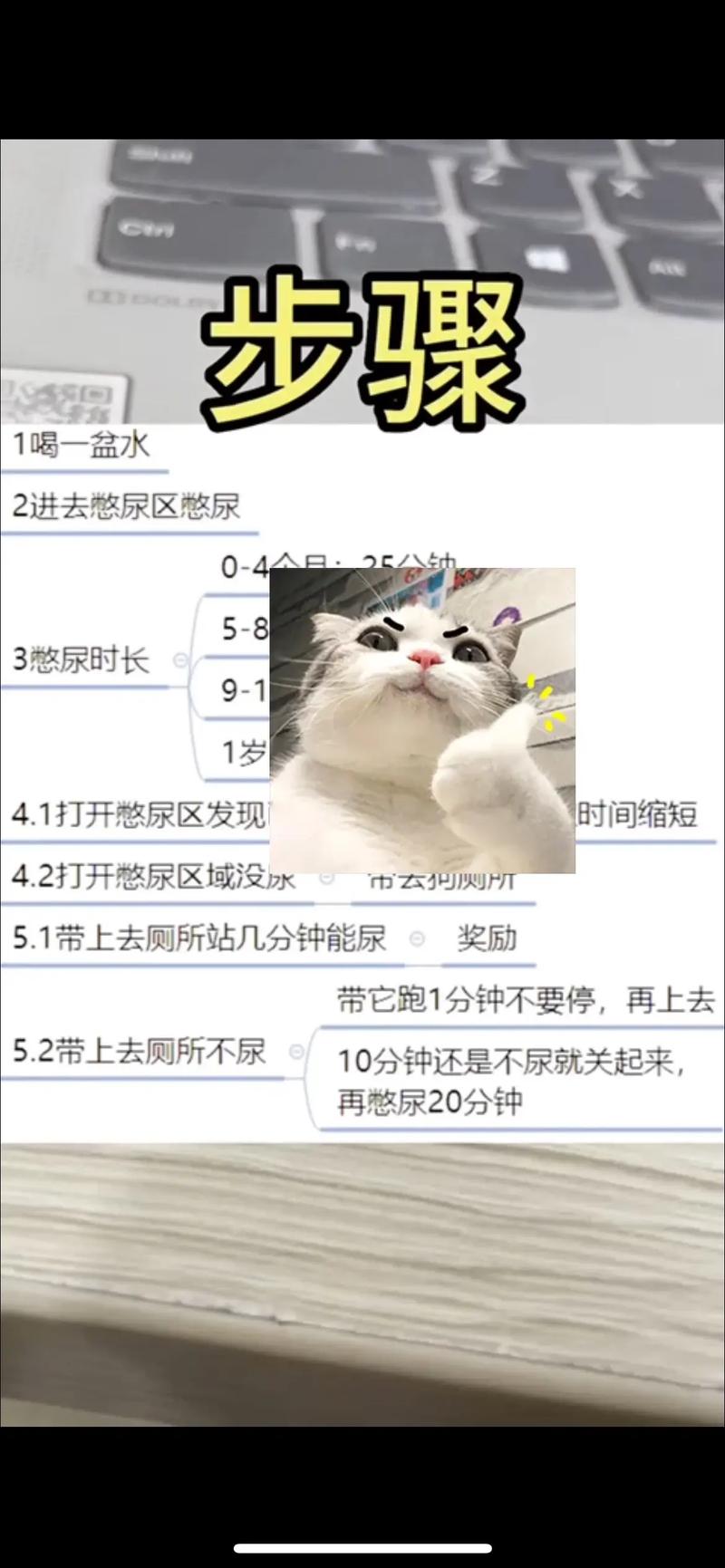 职场中如何获得“狗屎运”? 第1张 职场中如何获得“狗屎运”? 第1张