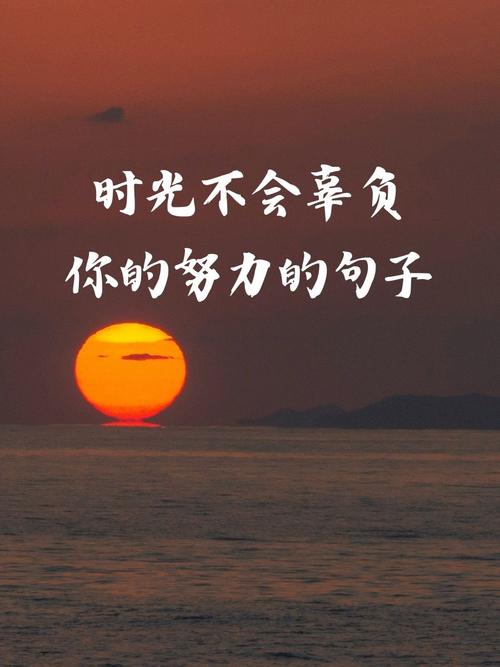 没有闪亮的背景，就更需要奋斗  第1张