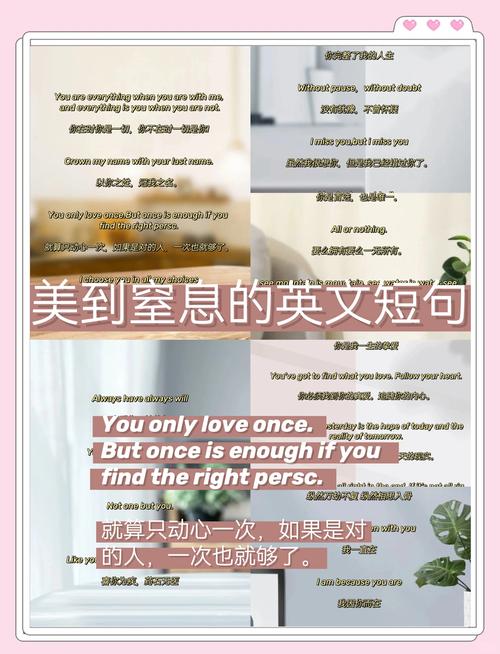 形容鼻子优美的短句(形容鼻子英语句子) 第1张 形容鼻子优美的短句(形容鼻子英语句子) 第1张