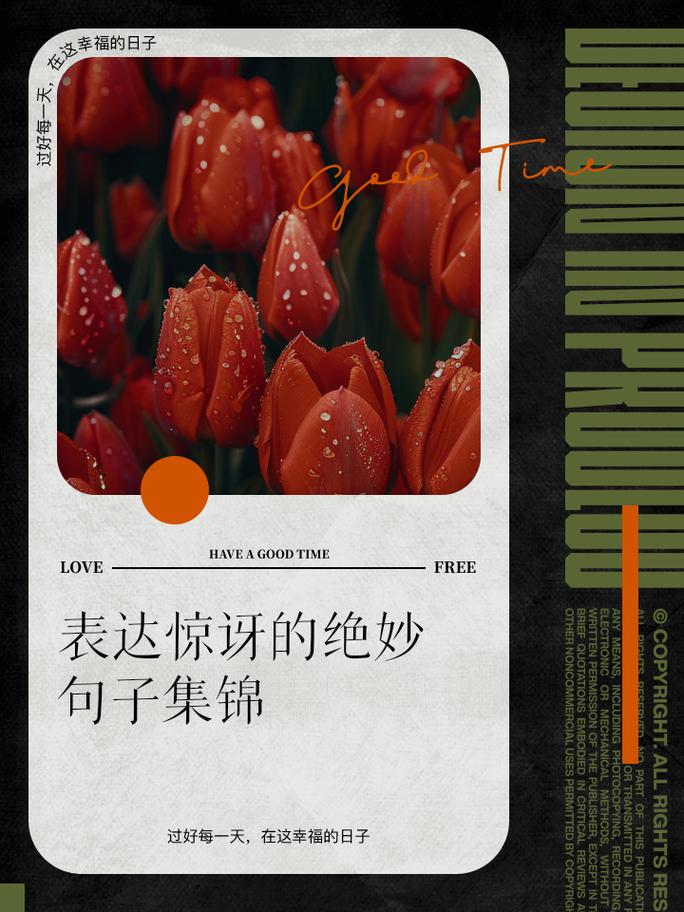 惊奇不已的优美句子(惊奇不已是什么意思是什么) 第1张 惊奇不已的优美句子(惊奇不已是什么意思是什么) 第1张