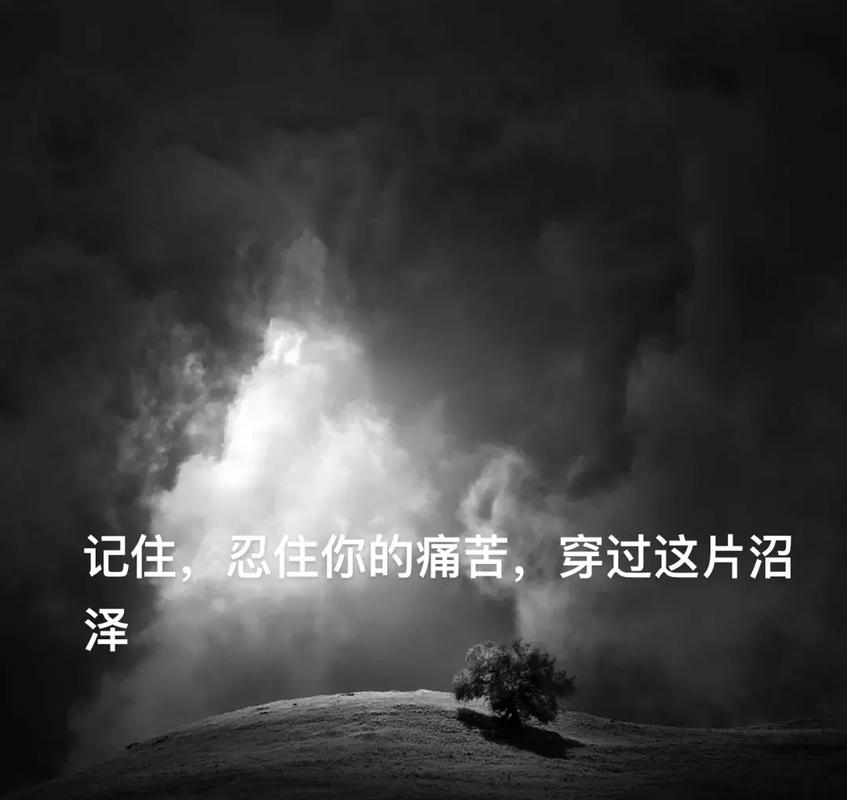忍住你的痛苦，一言不发的去努力、完成  第1张