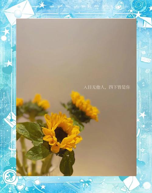 愿生活像花儿一样的说说(生活像花儿一样幸福) 第1张 愿生活像花儿一样的说说(生活像花儿一样幸福) 第1张