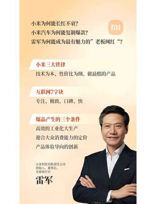 雷军的宿命  第1张