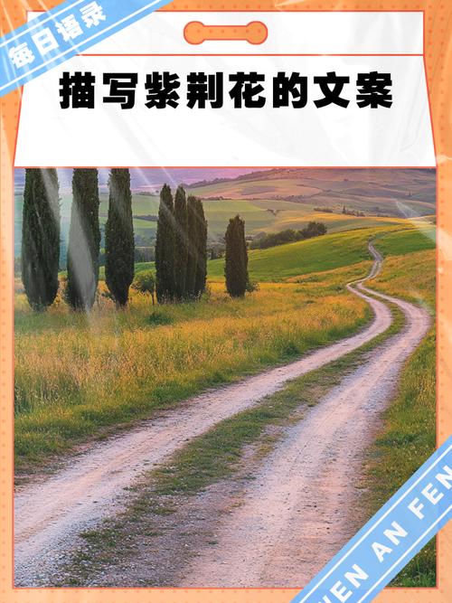 描写紫金花的优美句子（紫金花描写唯美诗句大全）  第1张