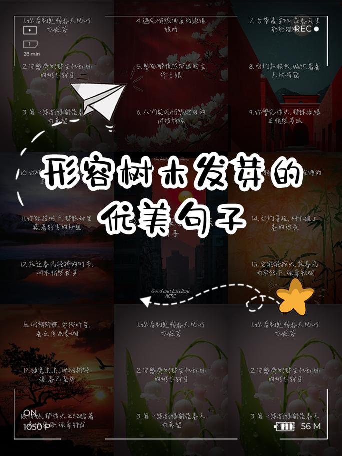 描写小树的好句短句（描写小树）  第1张