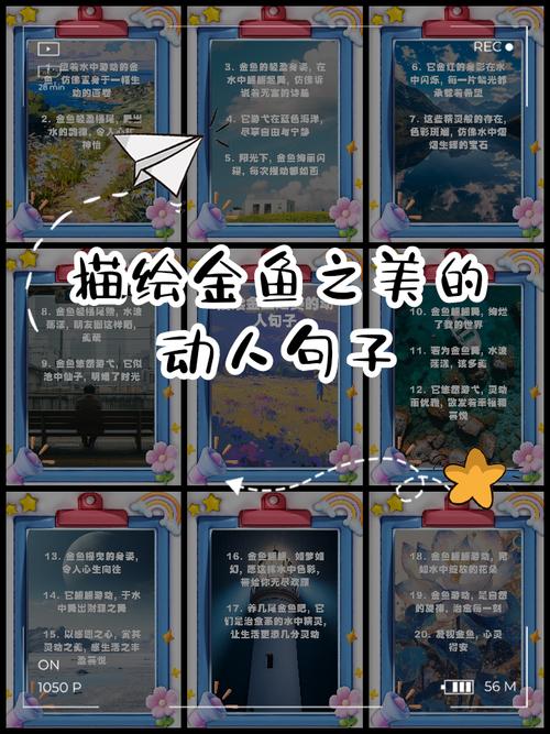 描写金鱼的优美句子一年级（描写金鱼的优美句子一年级简短英语）  第1张