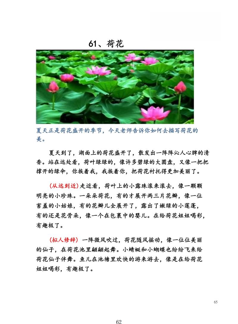 描写荷塘荷叶的短句（描写荷塘荷叶的短句有哪些呢）  第1张