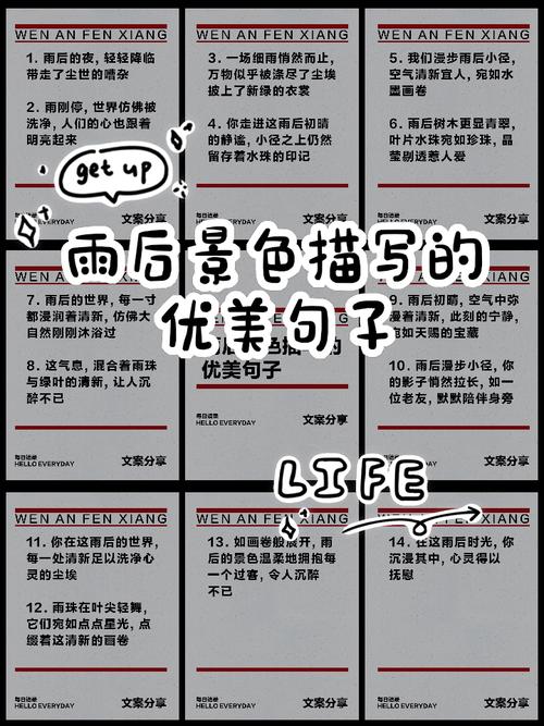 描写雨后风景的优美句子(描写雨后风景的优美句子摘抄大全) 第1张 描写雨后风景的优美句子(描写雨后风景的优美句子摘抄大全) 第1张