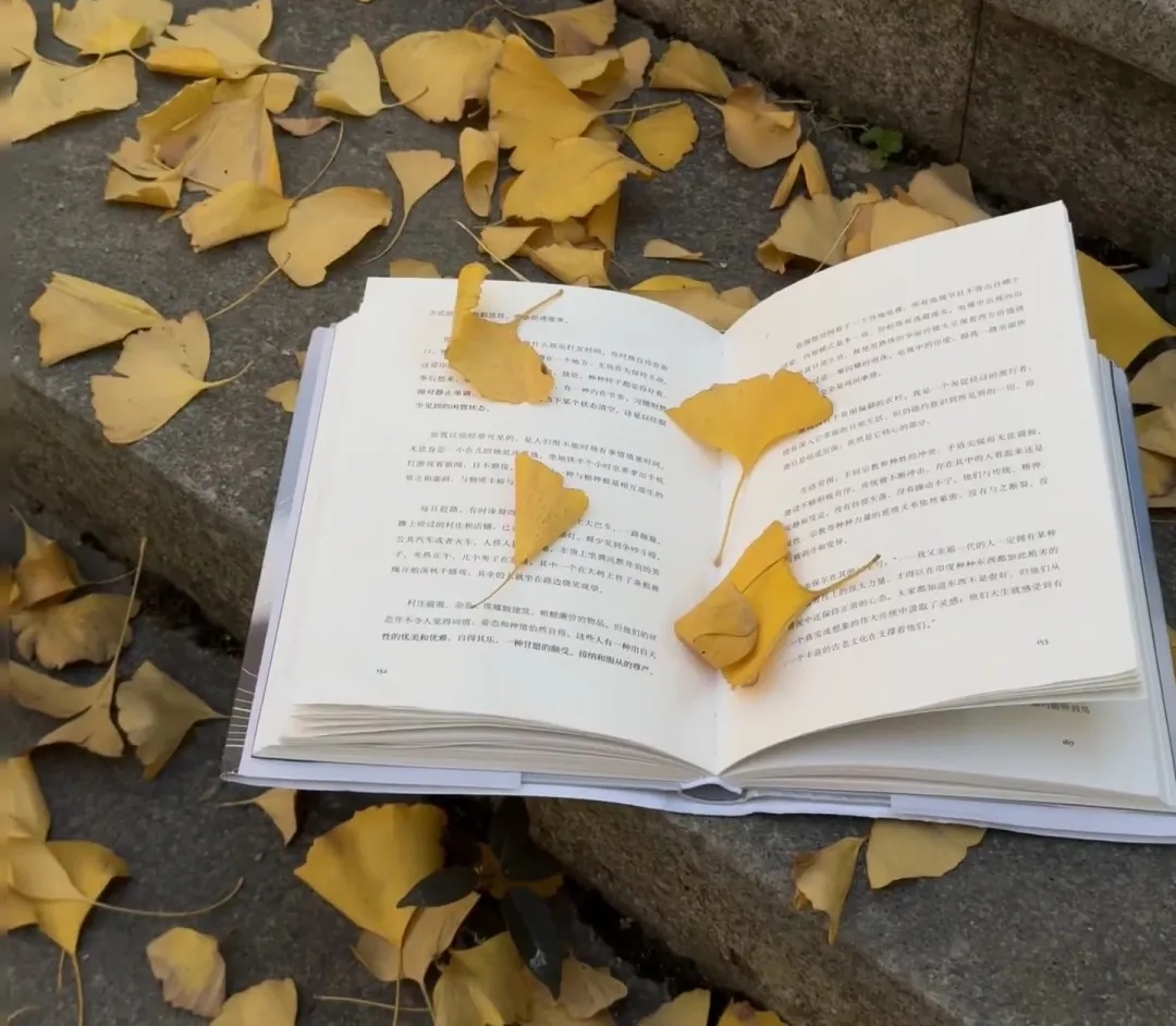 35-45 岁女性的黄金十年：别活成附属品，这样经营才是真清醒  第1张