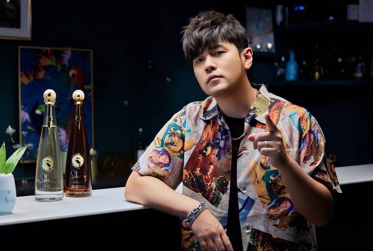 周杰伦：从蚁族到10亿投资人，他如何玩转商业帝国  第1张