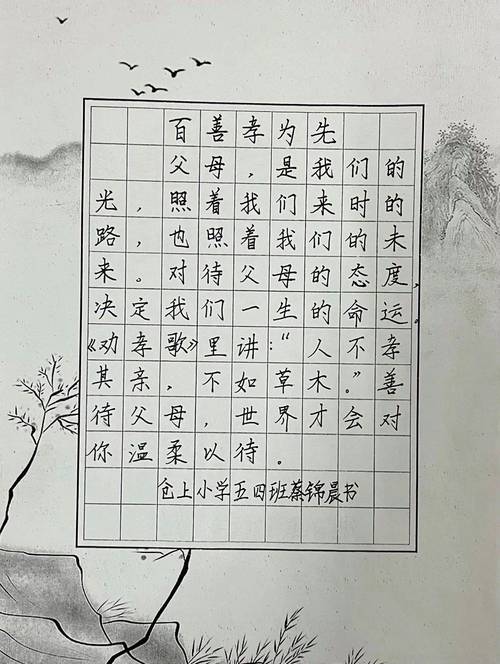 最美孝心少年格言 第1张 最美孝心少年格言 第1张