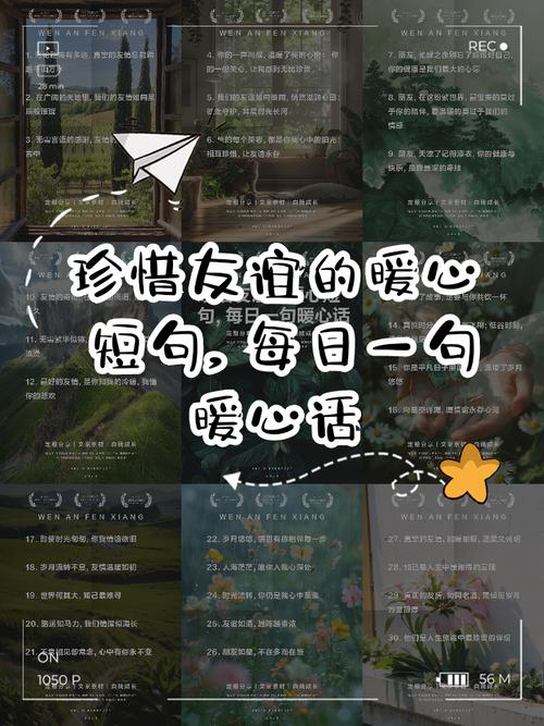 有关珍惜友谊的格言 有关珍惜友谊的格言警句摘抄 第1张 有关珍惜友谊的格言 有关珍惜友谊的格言警句摘抄 第1张