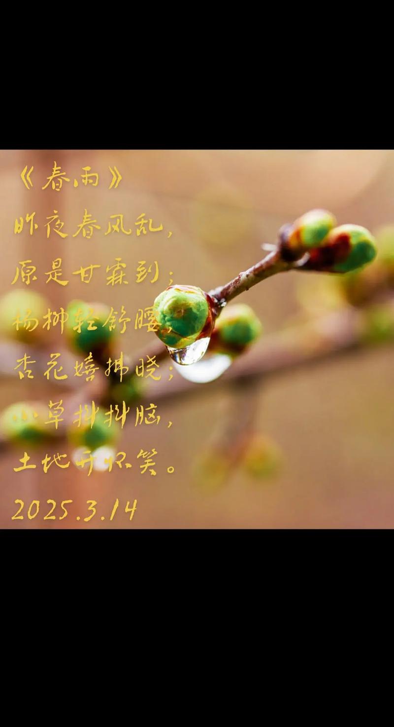 杏花的诗句唯美句子早安 杏花的诗句千古名句是什么 第1张 杏花的诗句唯美句子早安 杏花的诗句千古名句是什么 第1张