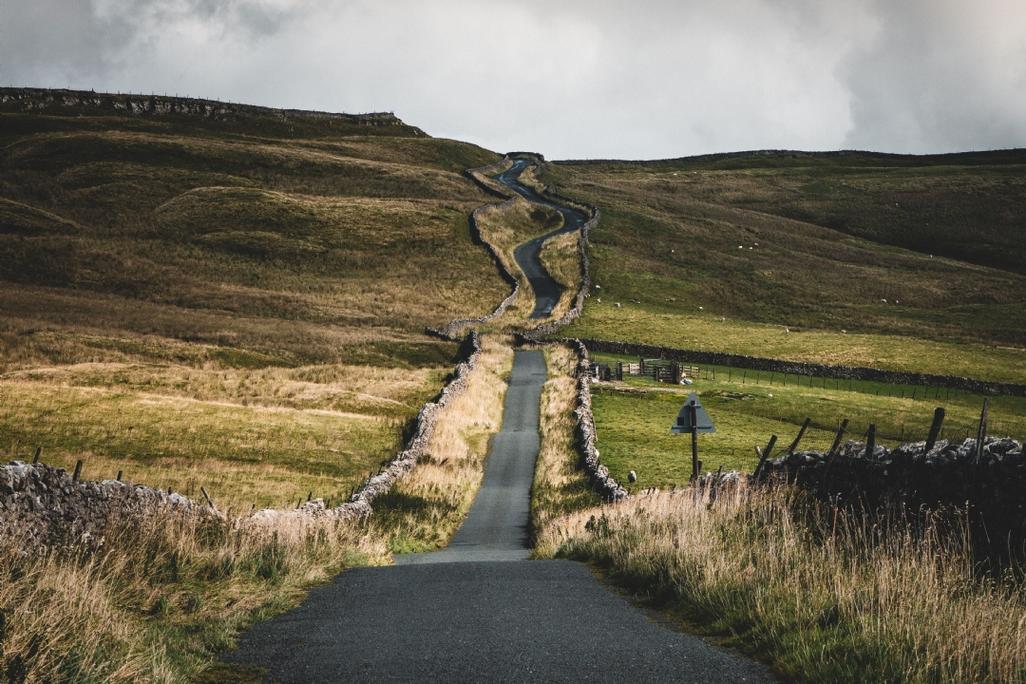 那条荆棘丛生的路 第1张 那条荆棘丛生的路 第1张
