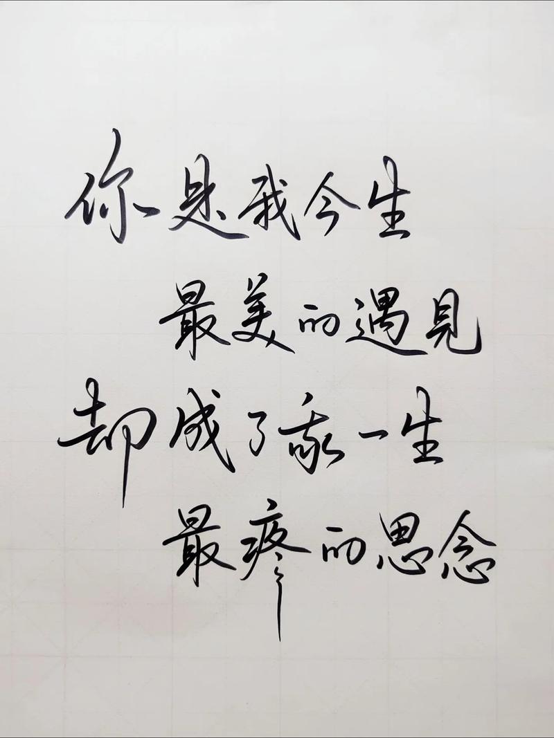 遇见思念  第1张