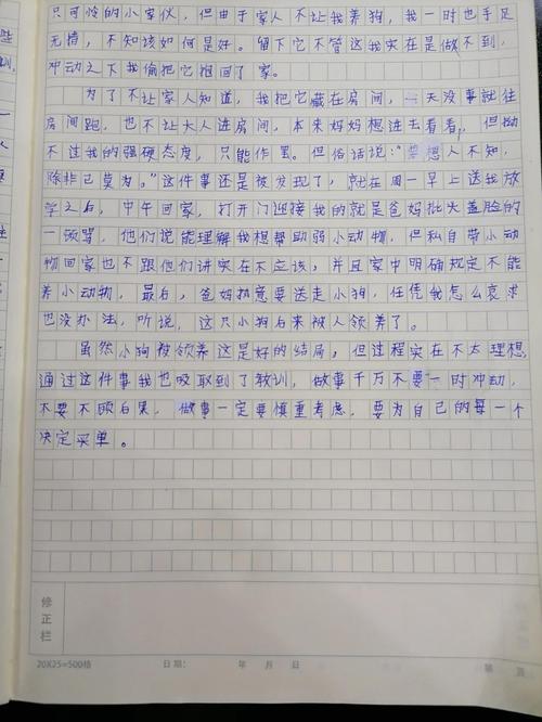 给我教训的一上午  第1张