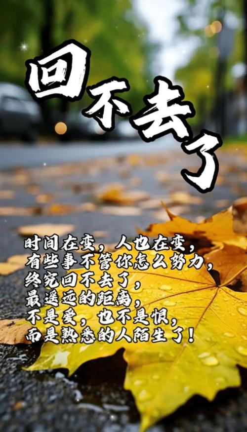 人生不易，生活千姿百态，且行且珍惜  第1张