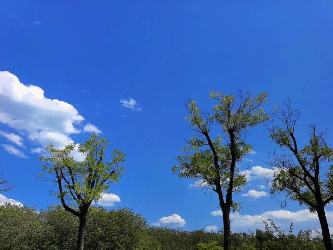 我“何”  第1张