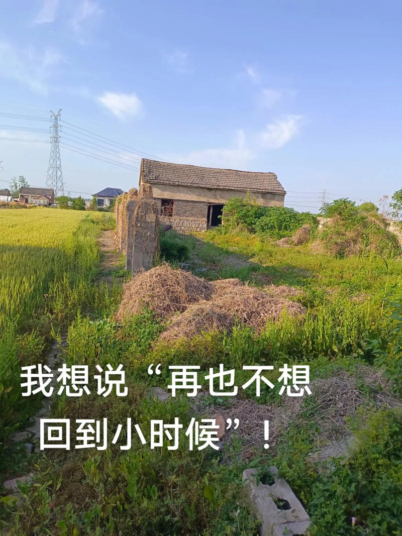 我想回到小时候  第1张