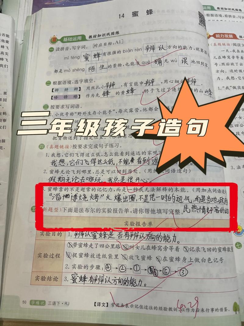 造句：我知道……但我……  第1张