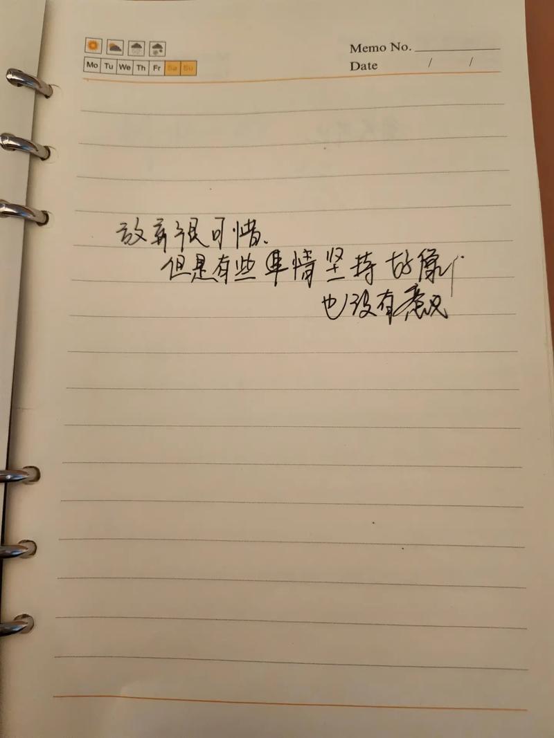 私人日记本  第1张